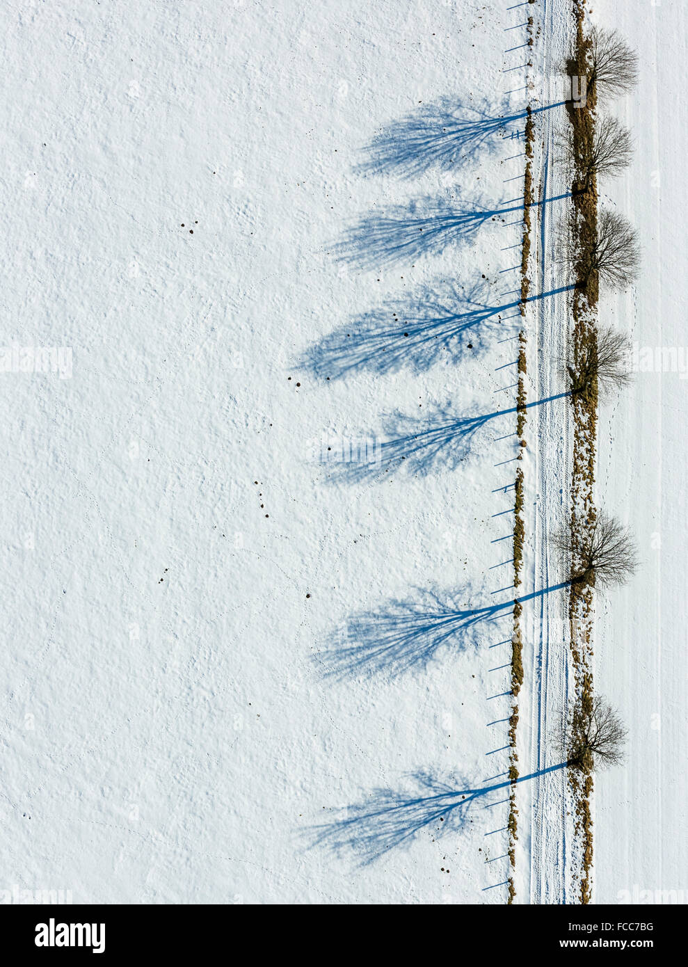 Vista aerea, viale alberato in Altenbüren nella neve vicino Hüttenstraße, dritto, Diagonal, geometrico, inverno, neve Foto Stock