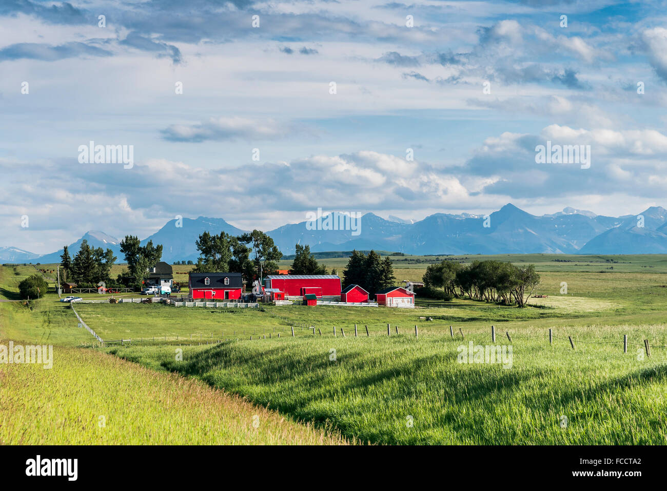 Azienda agricola nella Pedemontana, dei rulli di estrazione Creek, Alberta, Canada Foto Stock