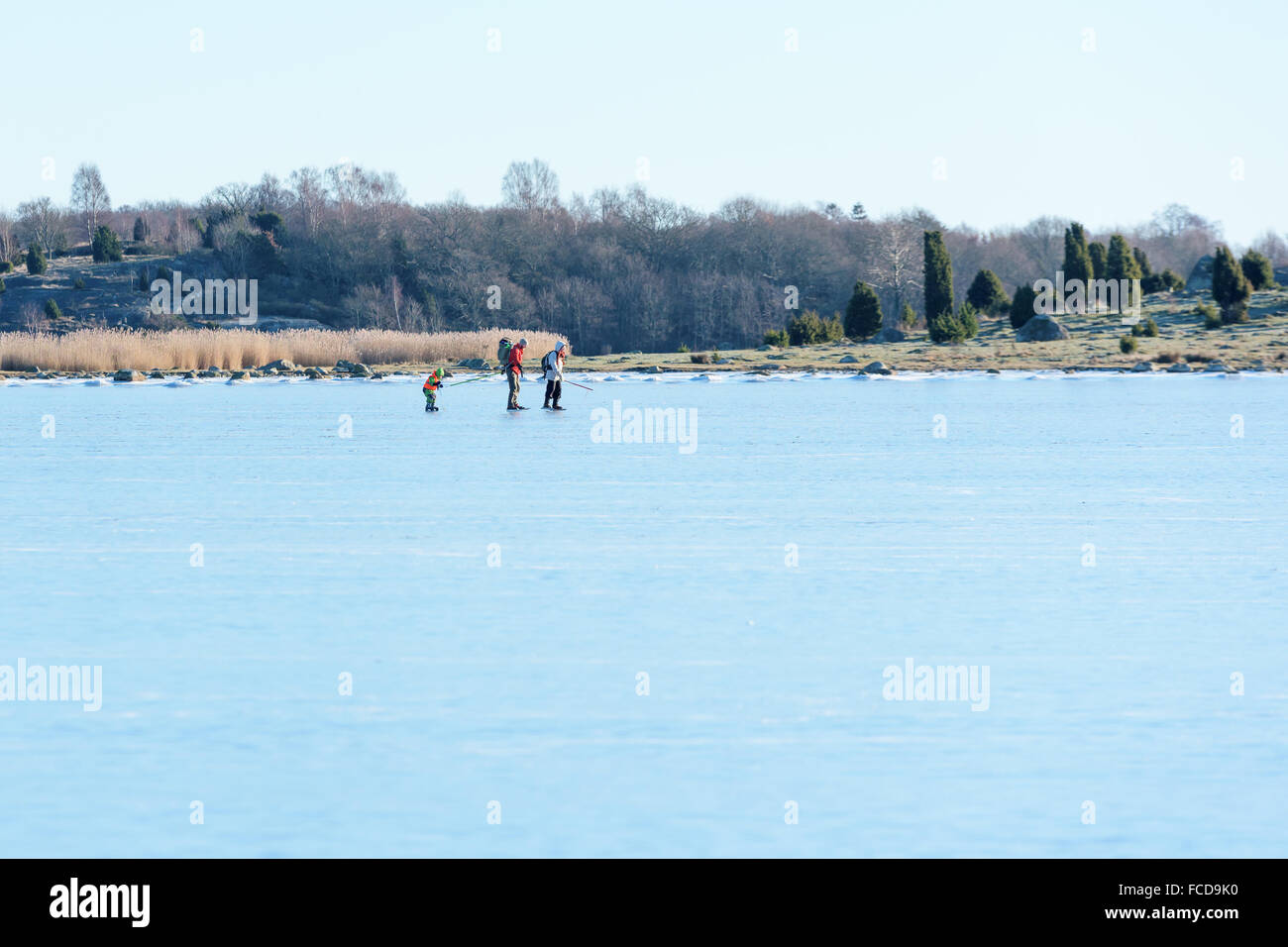 Listerby, Svezia - 17 Gennaio 2016: una piccola famiglia di tre è il pattinaggio stile Nordic nell arcipelago. Maschio è tirando il chi Foto Stock