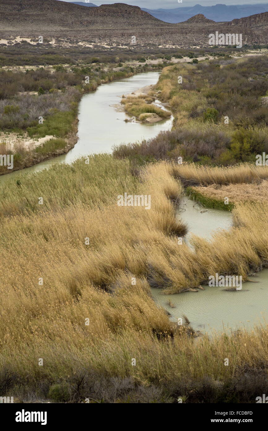 Rio Grande Fiume al Rio Grande villaggio, parco nazionale di Big Bend, Texas - IL CONFINE TRA STATI UNITI D'AMERICA (sulla destra) e Messico. Foto Stock