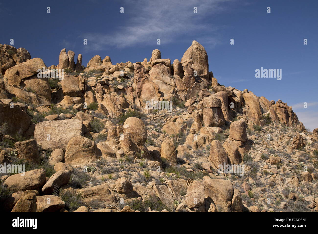 Erosi roccia ignea - resti di un laccolith - in The Grapevine colline, parco nazionale di Big Bend, Texas. Foto Stock