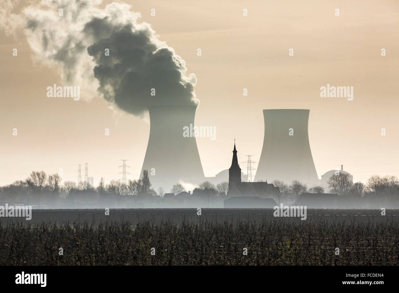 Paesi Bassi, Nieuw Namen, fiume Westerschelde. Sullo sfondo un impianto ad energia nucleare DOEL nel porto di Anversa (Belgio) Foto Stock