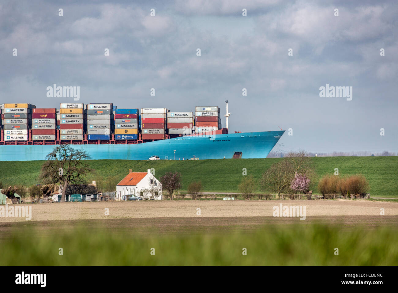 Paesi Bassi, Ossenisse, fiume Westerschelde. Nave Container Foto Stock