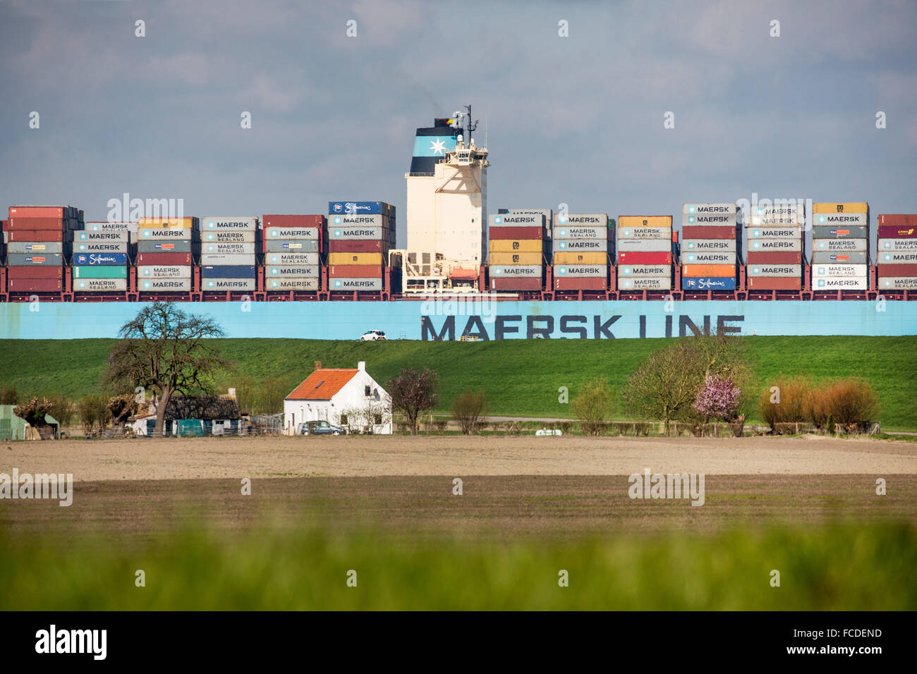 Paesi Bassi, Ossenisse, fiume Westerschelde. Nave Container Foto Stock