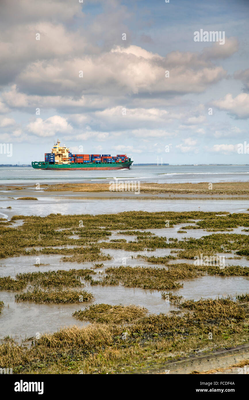 Paesi Bassi, Ossenisse, fiume Westerschelde. Nave Container Foto Stock