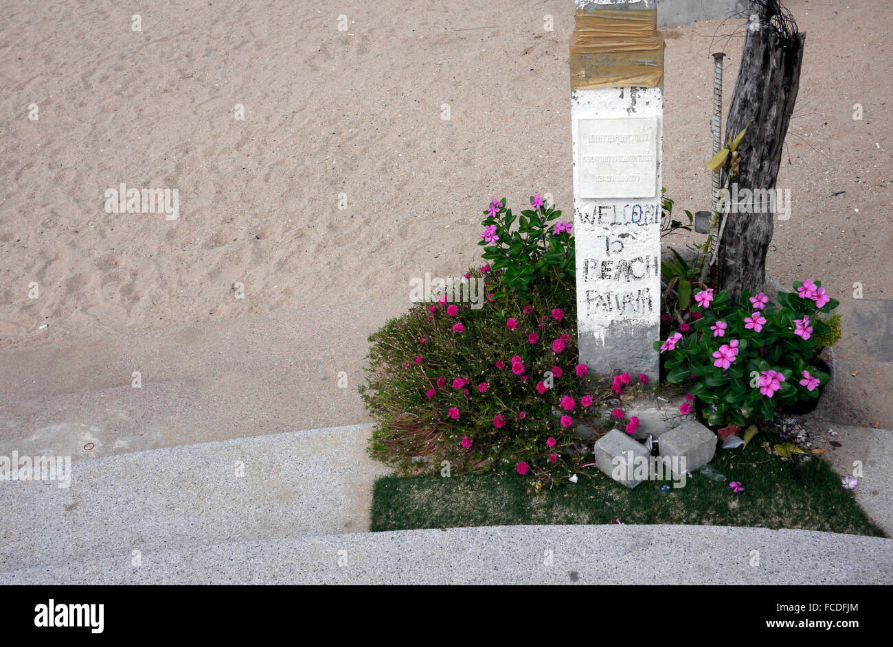 Qualcuno ha creato una piccola oasi in giardino e un benvenuto alla spiaggia di Pattaya sign in Pattaya Thailandia Foto Stock