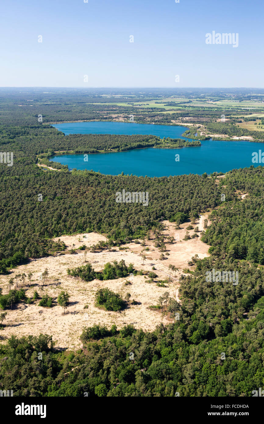 Paesi Bassi, Bergen, riserva naturale chiamato Maasduinen. Alberi che crescono su ex fiume dune. Antenna Foto Stock