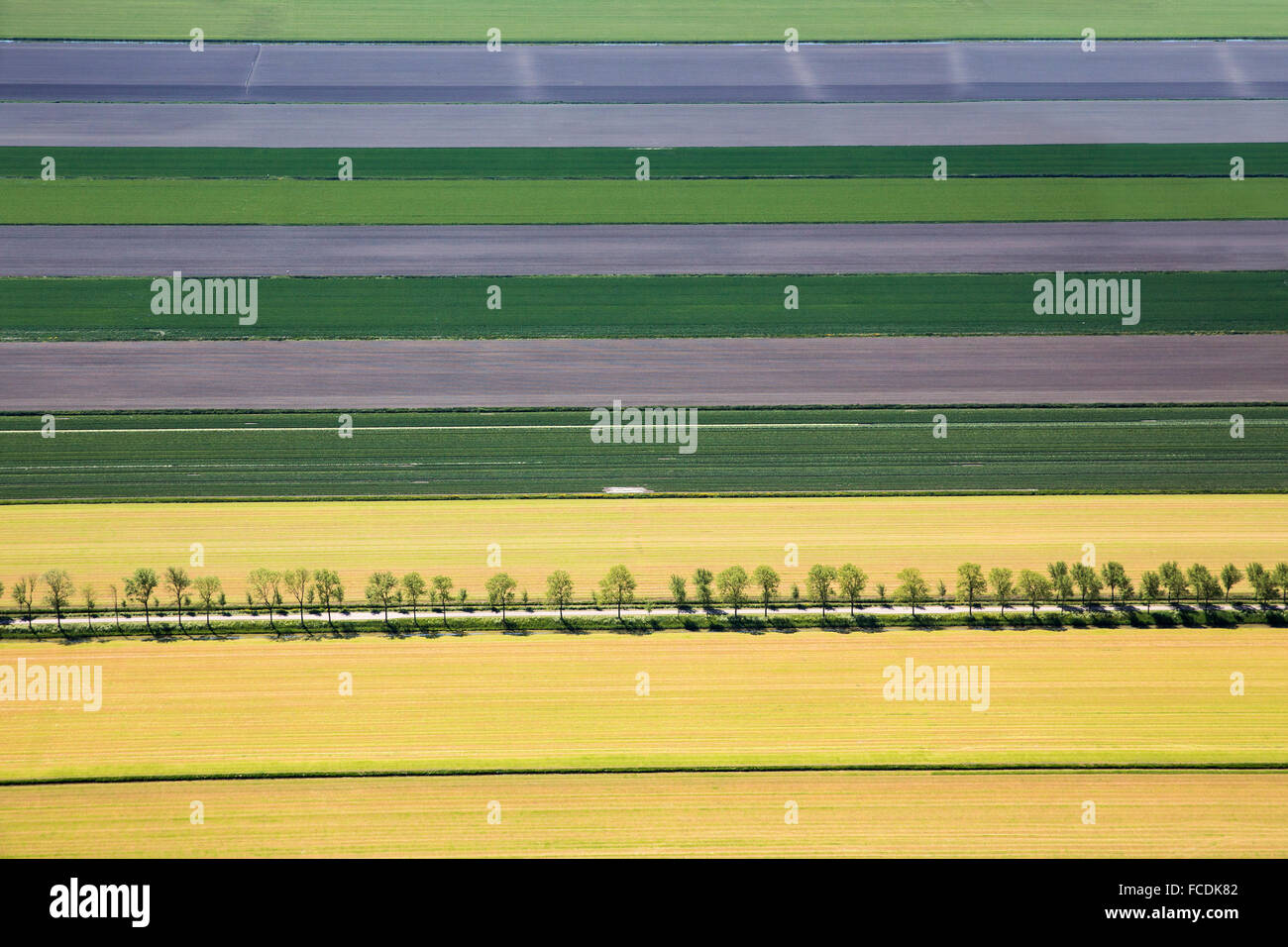 Paesi Bassi, Middenbeemster, Beemster Polder. UNESCO - Sito Patrimonio dell'umanità. Antenna Foto Stock