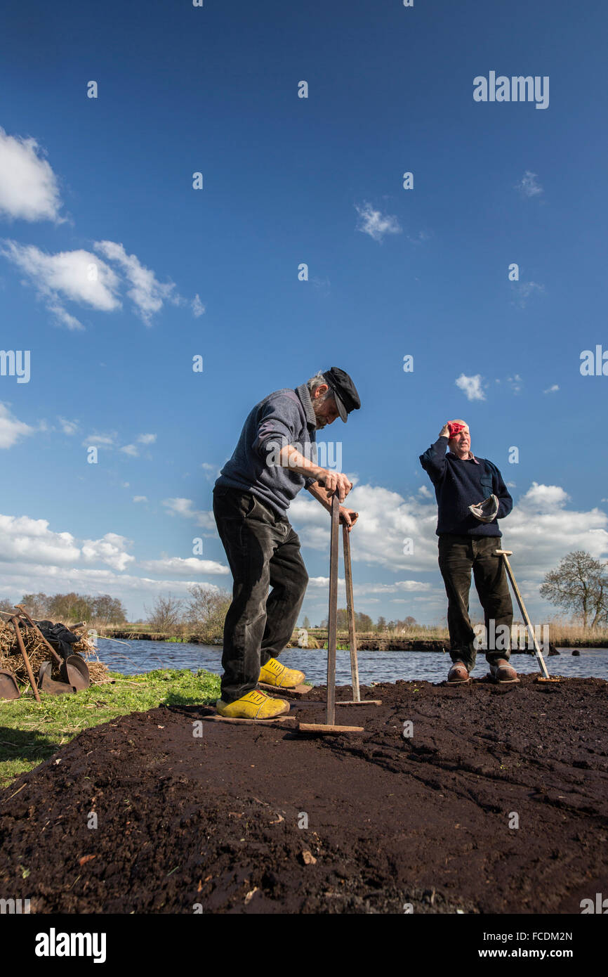 Paesi Bassi, Reeuwijk, Oukoopse polder, torba draghe. Torba di essiccazione Foto Stock
