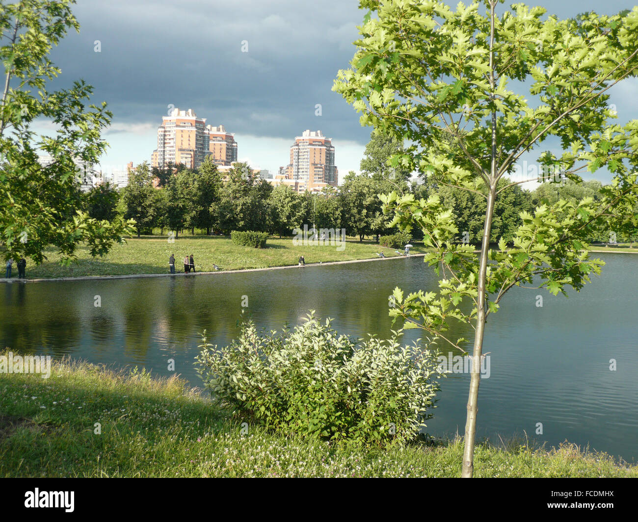 Estate nel parco cittadino al giorno Foto Stock