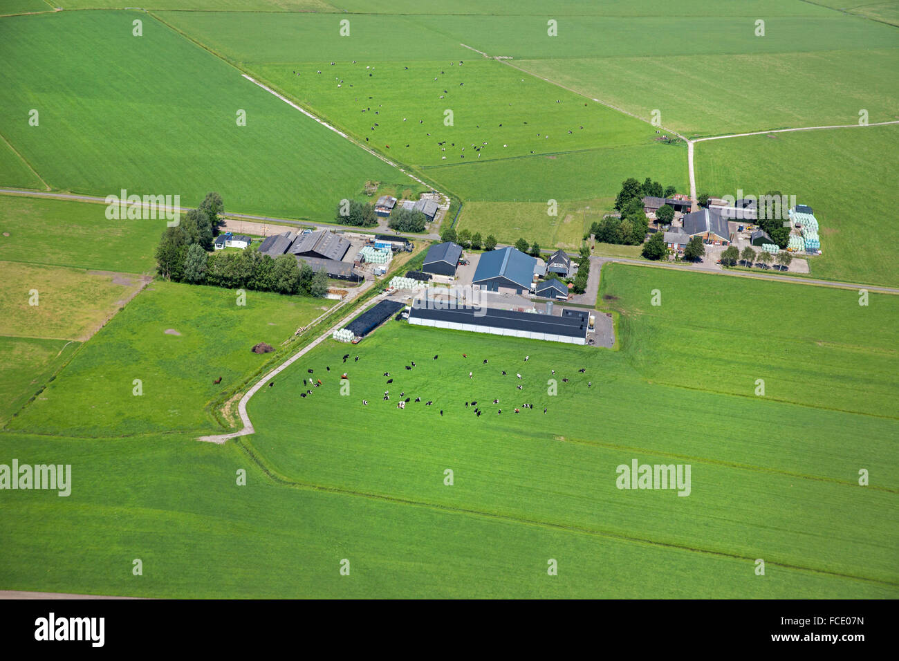 Paesi Bassi, IJsselmuiden, tumulo del fiume IJssel. I terreni agricoli e le aziende agricole. Antenna Foto Stock