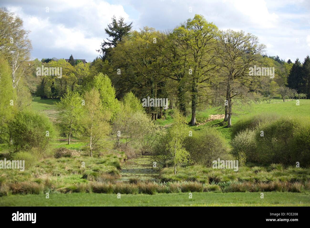 Campagna francese Foto Stock