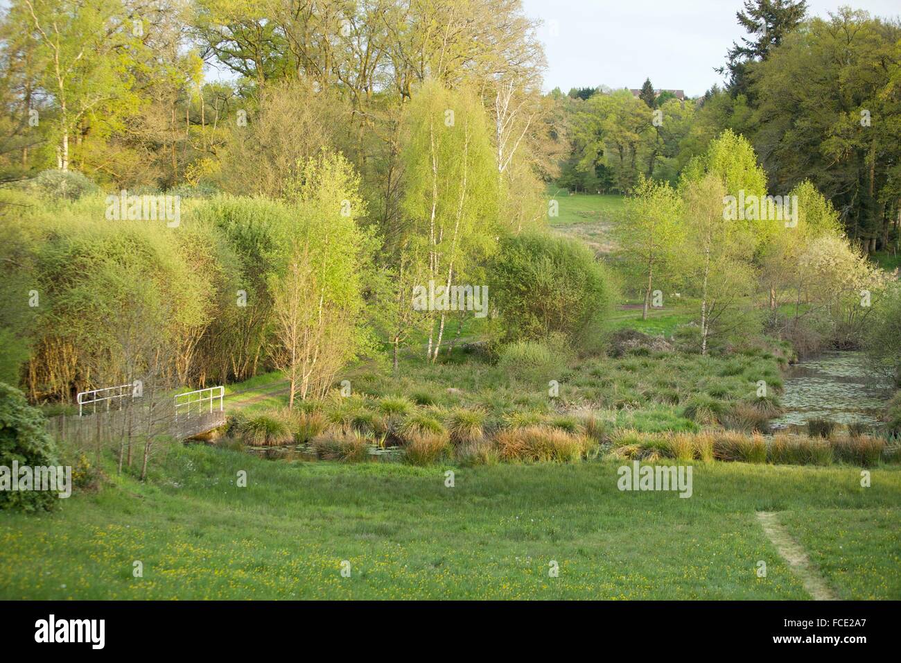 Campagna francese Foto Stock