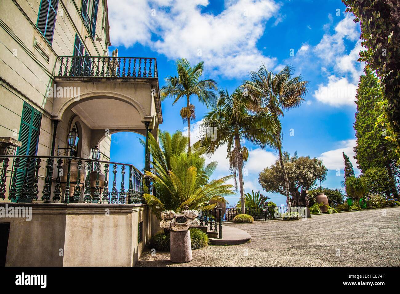 L'Isola di Madeira, Monte Palace giardini tropicali Foto Stock