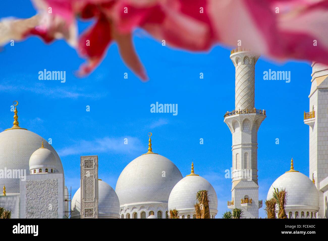 U.A.E. - Emirato di Abu Dhabi-Great Moschea Sheikh Zayeed Foto Stock