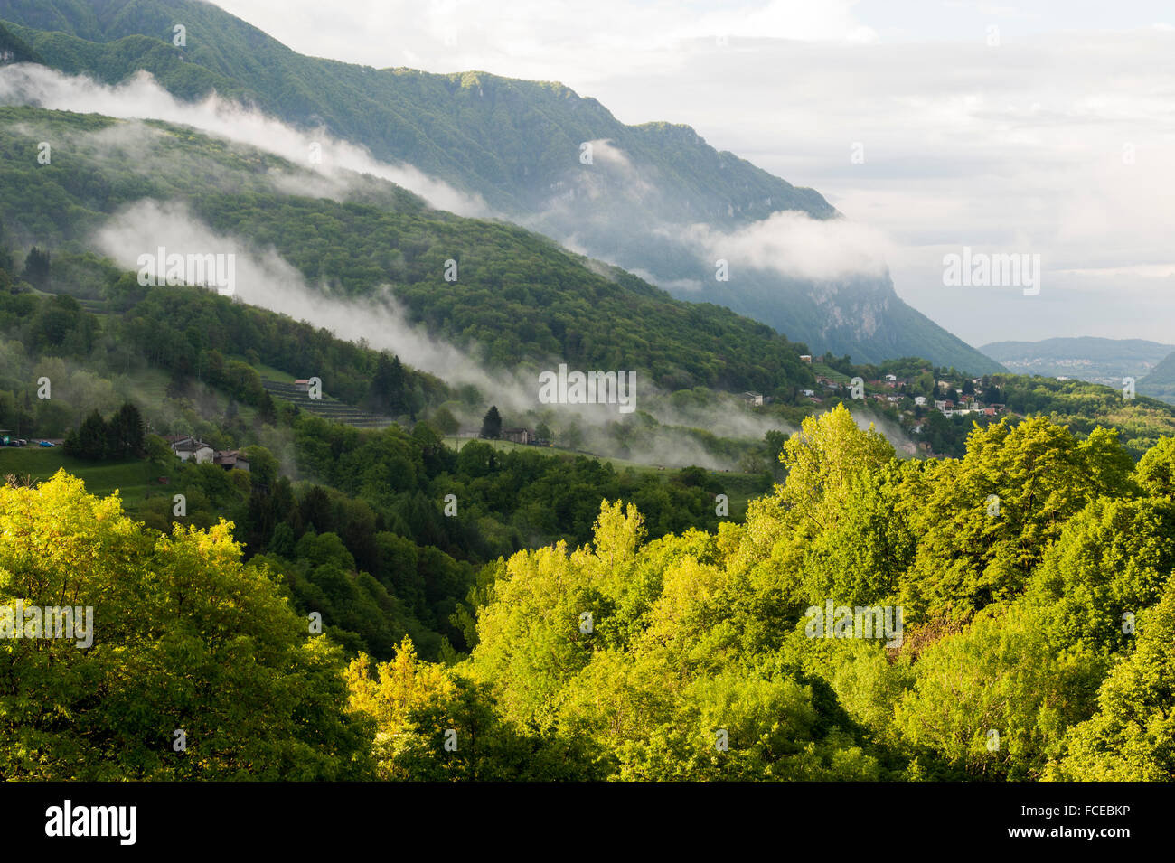 Montagne e foreste attorno Arogno, Sito Patrimonio Mondiale dell'UNESCO Monte San Giorgio, Ticino, Svizzera Foto Stock