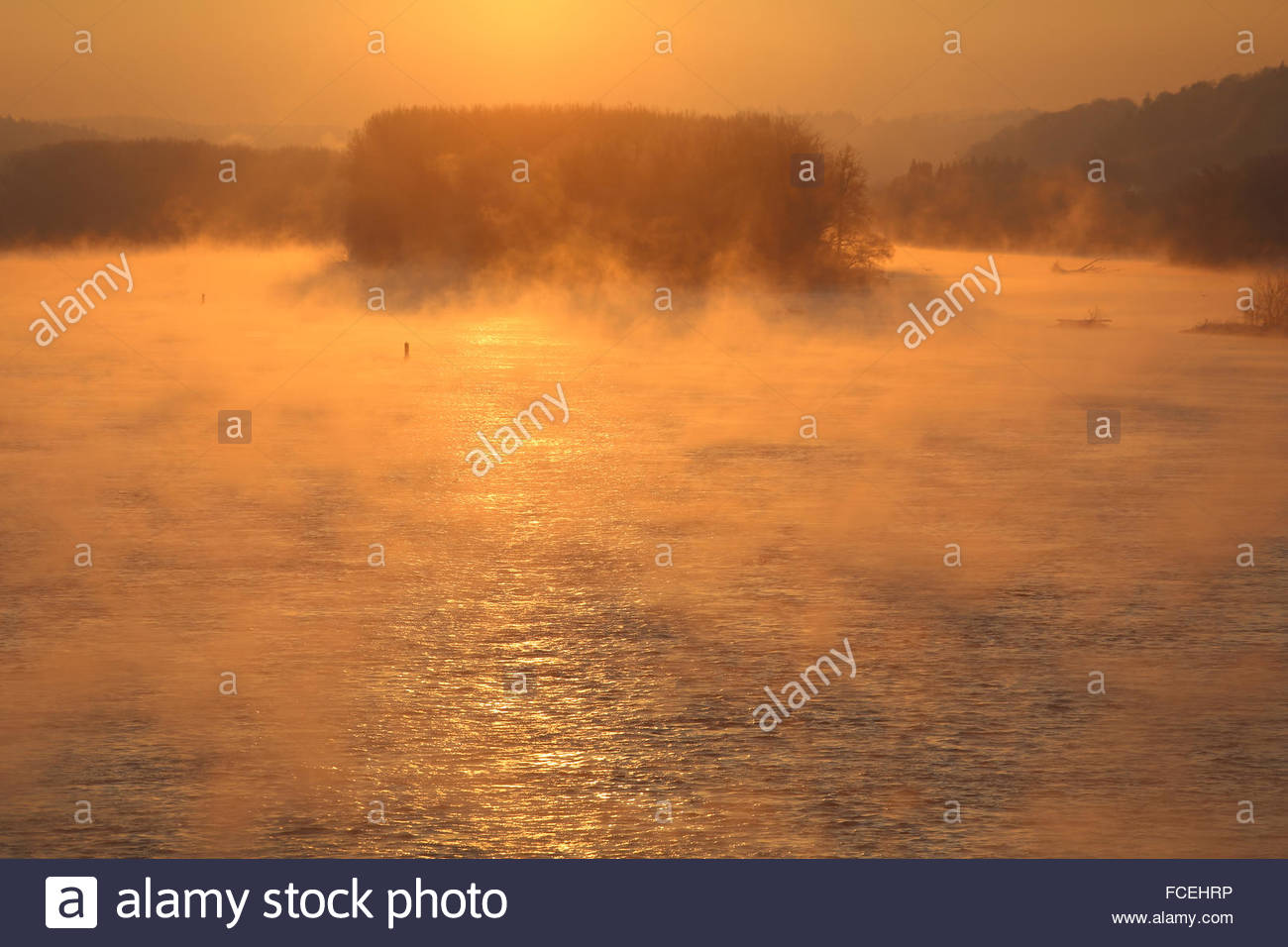 Danubio, Germania. 22 gennaio 2016. Meteo: Mattina presto nebbie come pause giorno a Vilshofen in Baviera. Credit: Clearpix/Alamy Live News Foto Stock