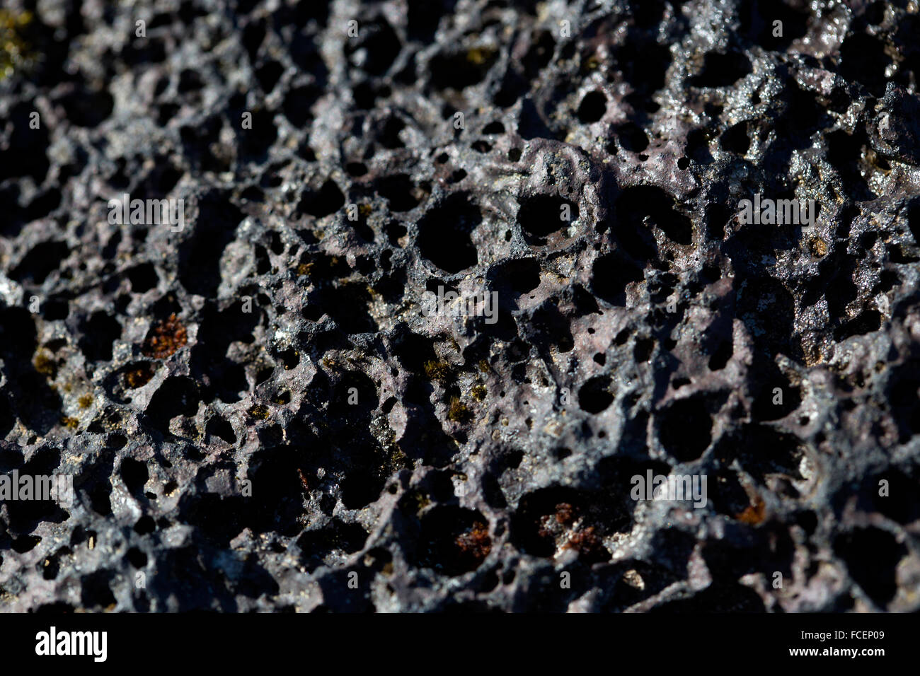 Primo piano di pietra vulcanica, Islanda Foto Stock