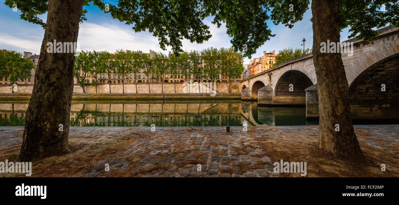 Ile Saint Louis e Pont Marie con le sponde della Senna foderato con aspen alberi su una mattina tranquilla di Parigi, Francia (75004) Foto Stock