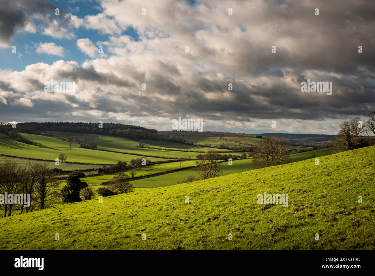 Vista dalla Corte Hill nel South Downs National Park vicino Oriente Dean, West Sussex, Regno Unito Foto Stock