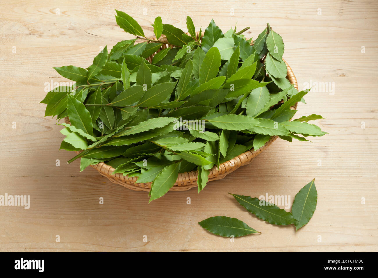 Cesto con prodotti freschi raccolti verdi foglie di alloro Foto Stock