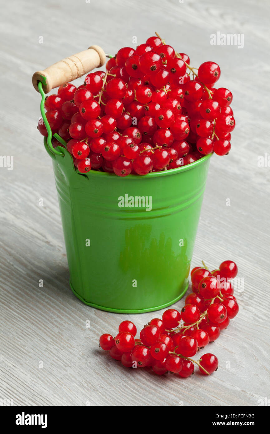 Benna verde con ribes rosso come dessert Foto Stock