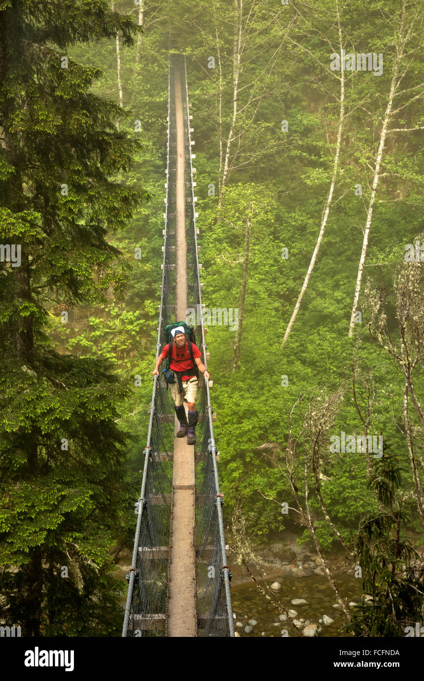BRITISH COLUMBIA - escursionista attraversando il ponte di sospensione su Logan Creek su una mattinata nebbiosa lungo l'isola di Vancouver West Coast. Foto Stock
