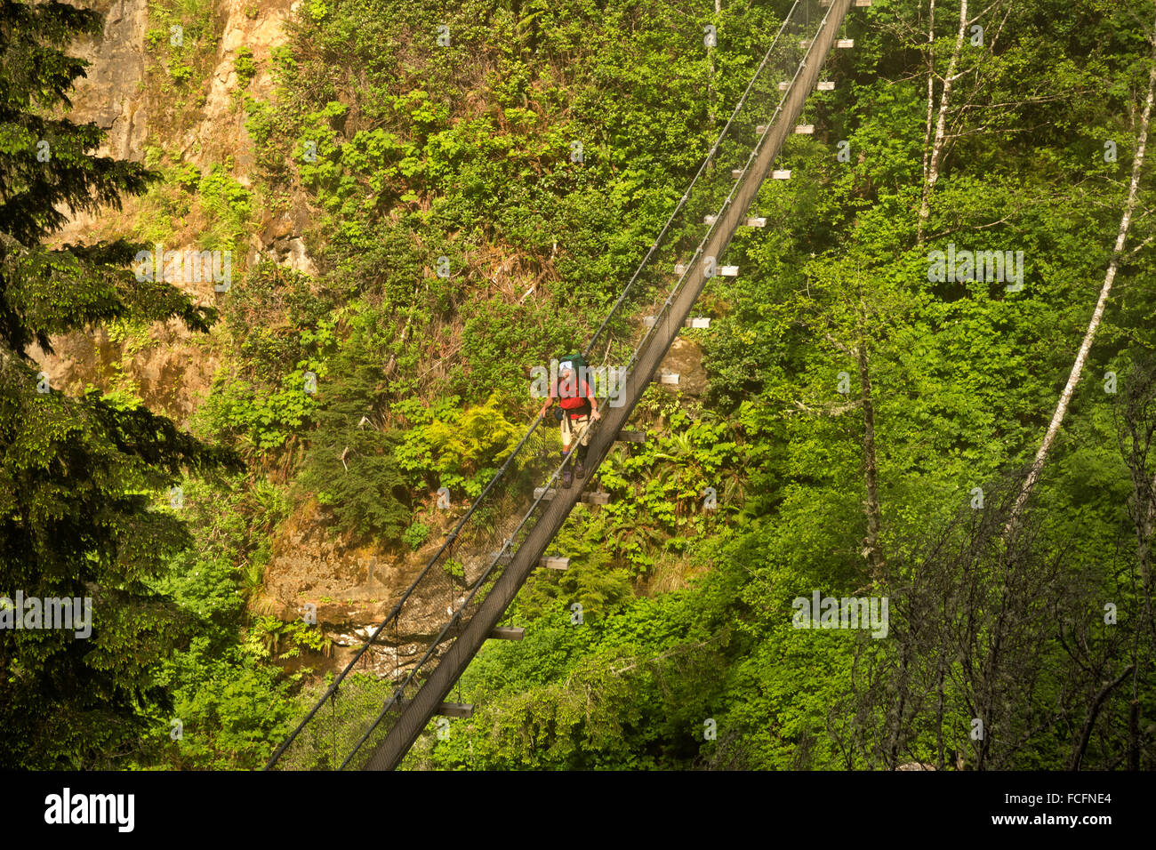 BRITISH COLUMBIA - escursionista attraversando il ponte di sospensione su Logan Creek su una mattinata nebbiosa lungo l'isola di Vancouver West Coast. Foto Stock