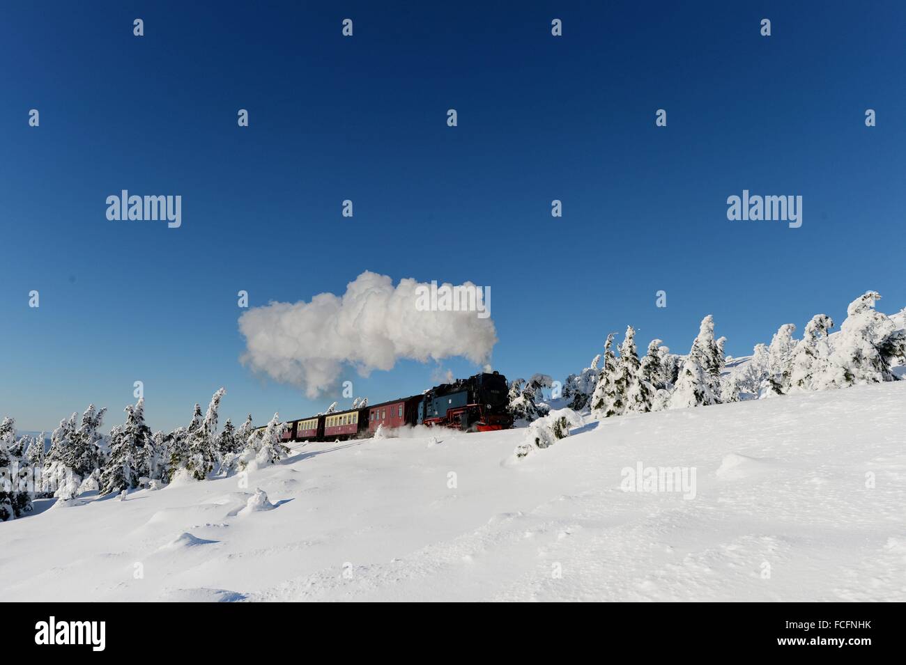 Un locomotore di Harzer Schmalspurbahnen GmbH (HSB) tira il treno passeggeri sul Brocken mountain a Wernigerode, Germania, 21 gennaio 2016. Foto: Frank può Foto Stock