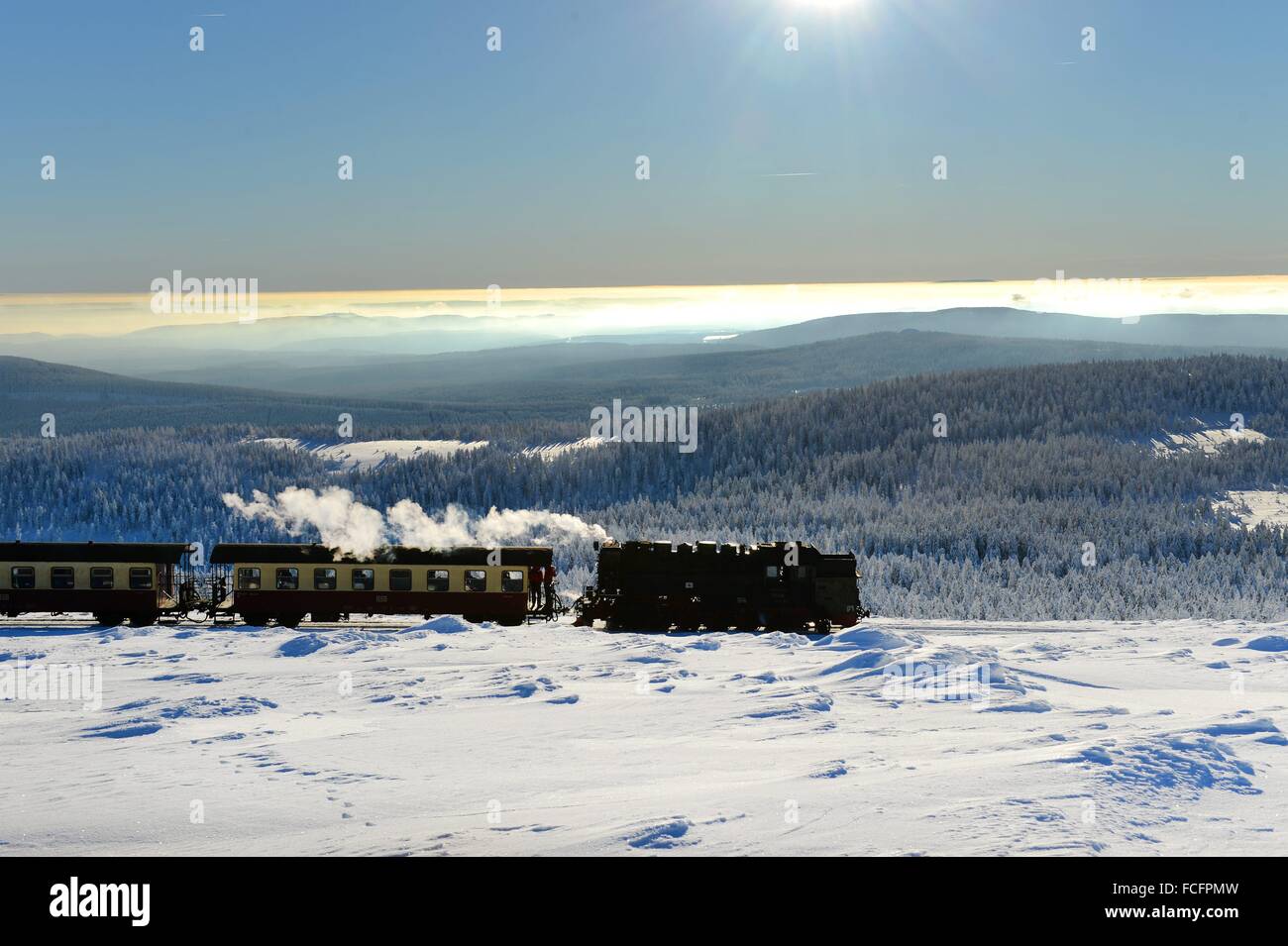 Un locomotore di Harzer Schmalspurbahnen GmbH (HSB) tira il treno passeggeri sul Brocken mountain a Wernigerode, Germania, 21 gennaio 2016. Foto: Frank può Foto Stock