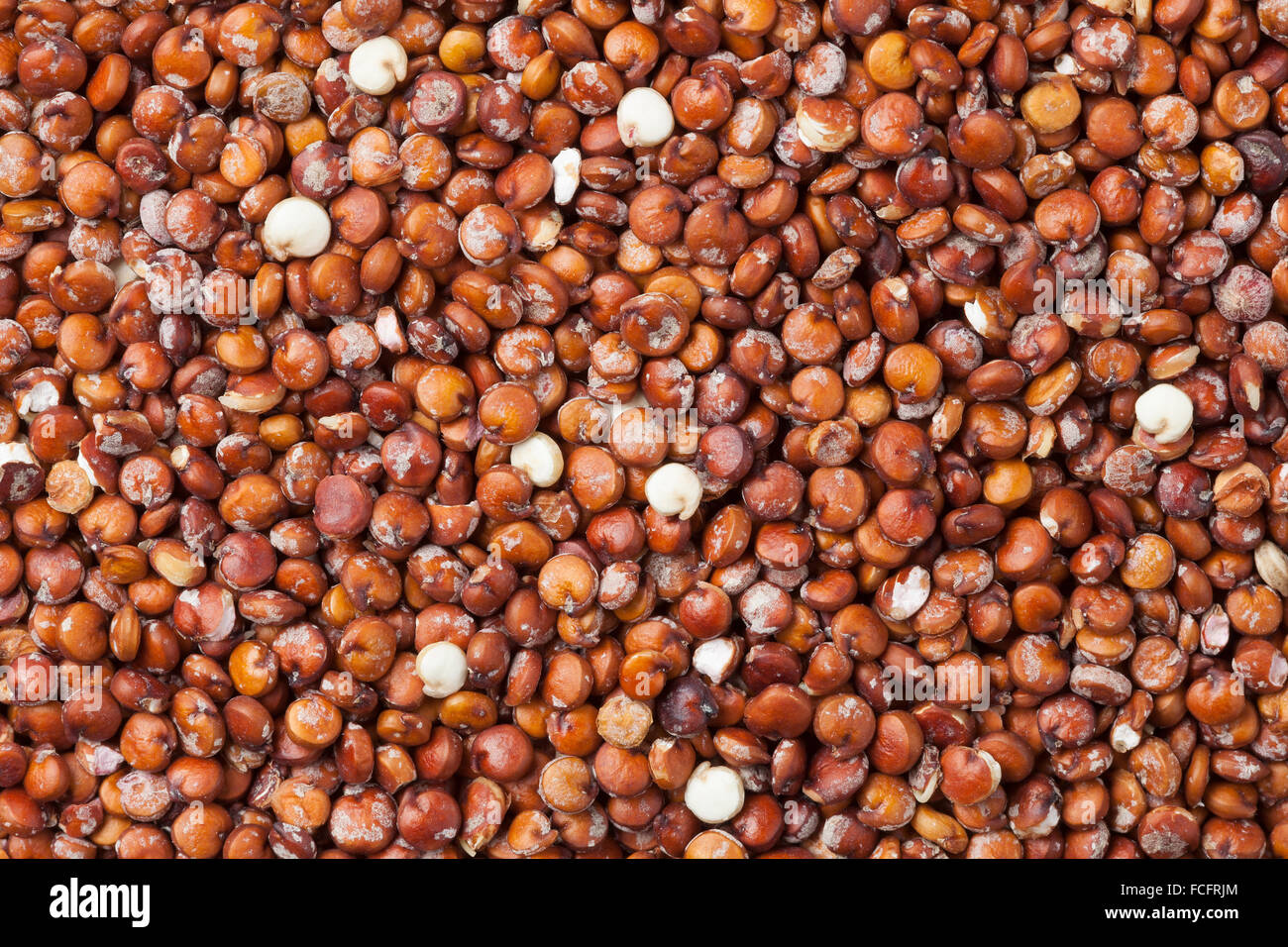 Red raw di Quinoa semi telaio completo Foto Stock