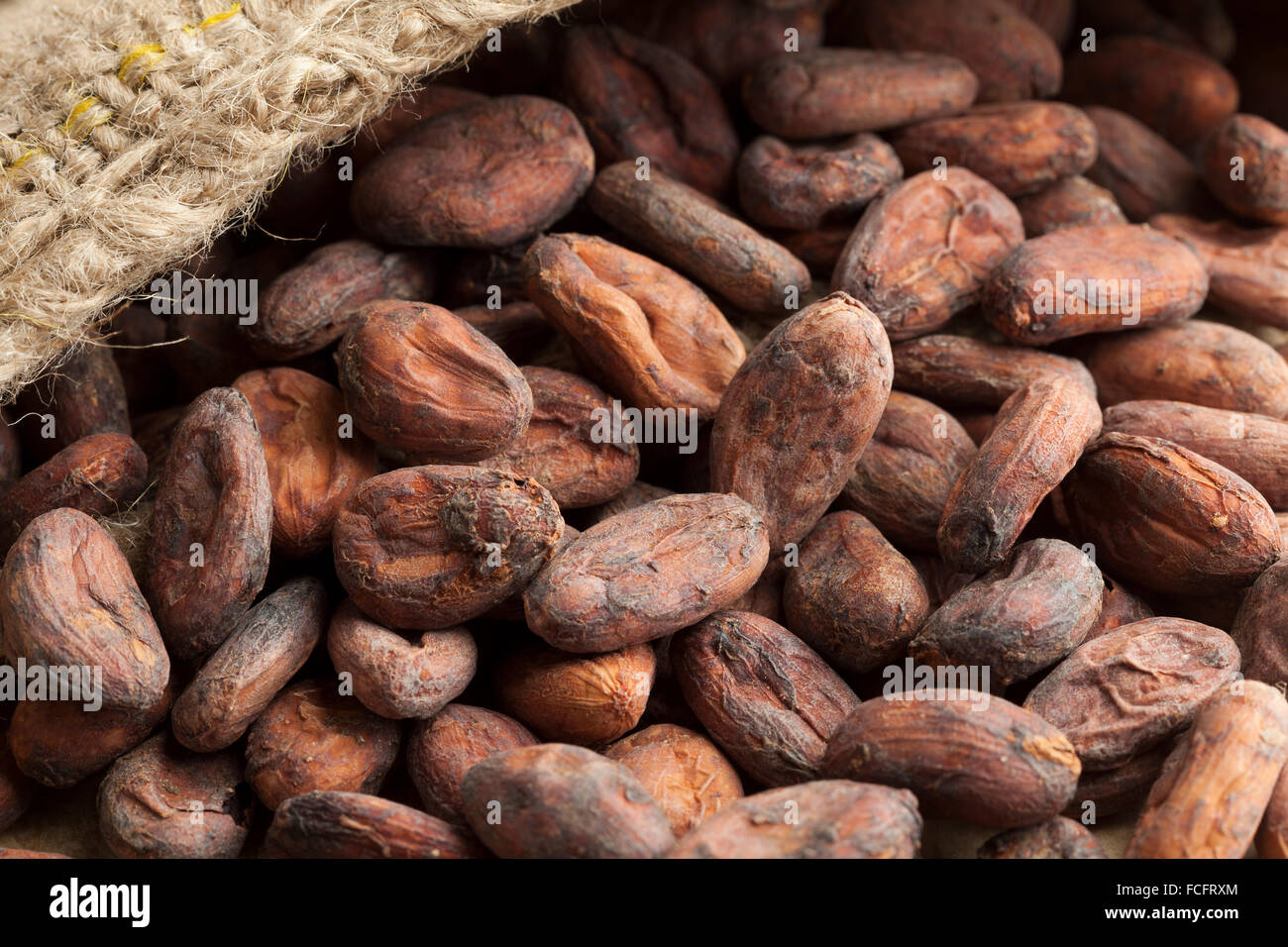 Sacco di iuta pieno con materie prime fave di cacao Foto Stock