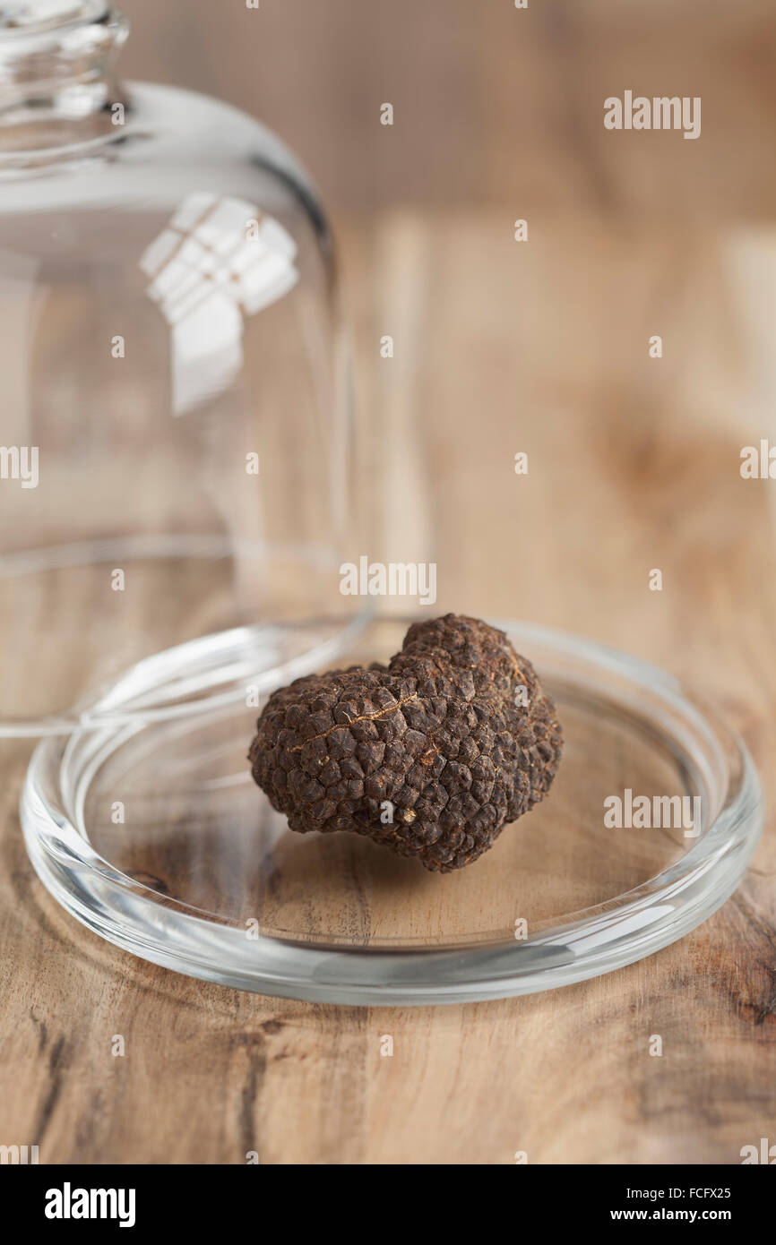Intero fresco tartufo nero su un piatto di vetro Foto Stock