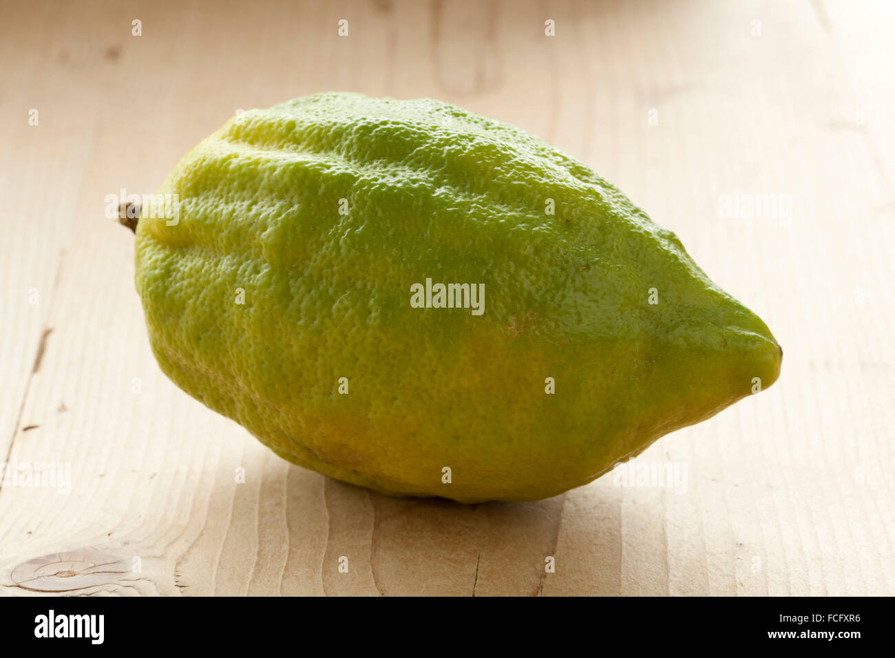 Fresco verde Citrus medica Foto Stock