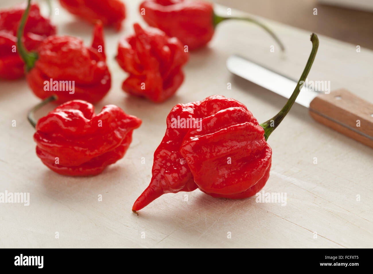 Rosso fresco scorpion hot chili peppers Foto Stock