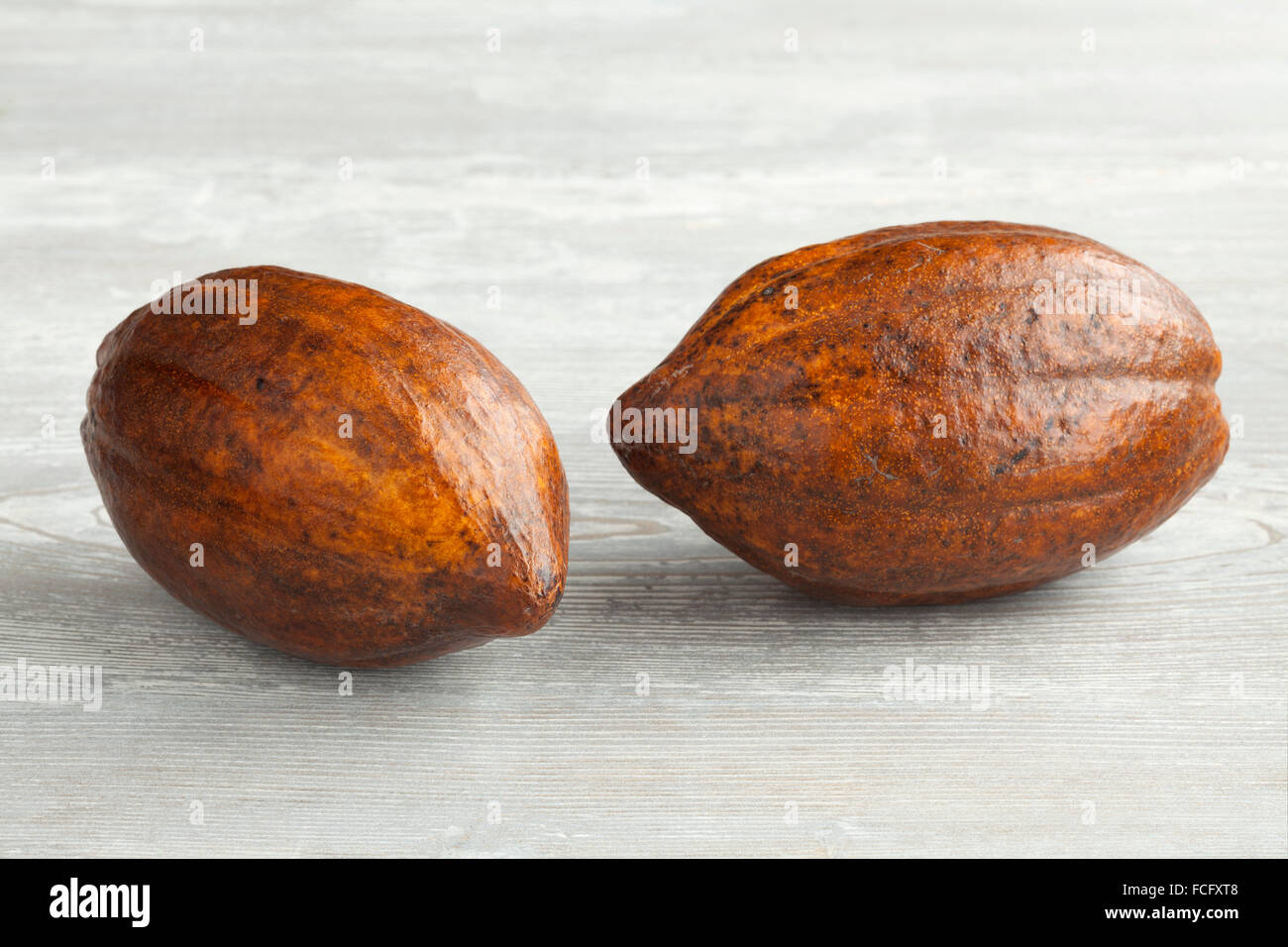 Due freschi maturi frutti di cacao Foto Stock