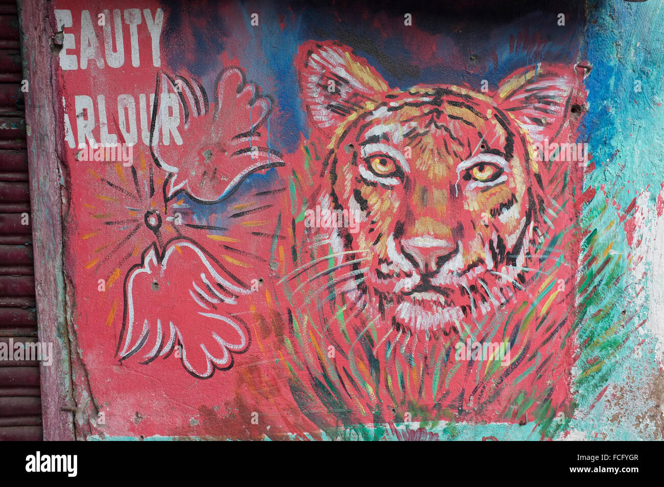 Una pittura murale di una tigre pubblicità ad un salone di bellezza. Kolkata (Calcutta), West Bengal, India. Foto Stock