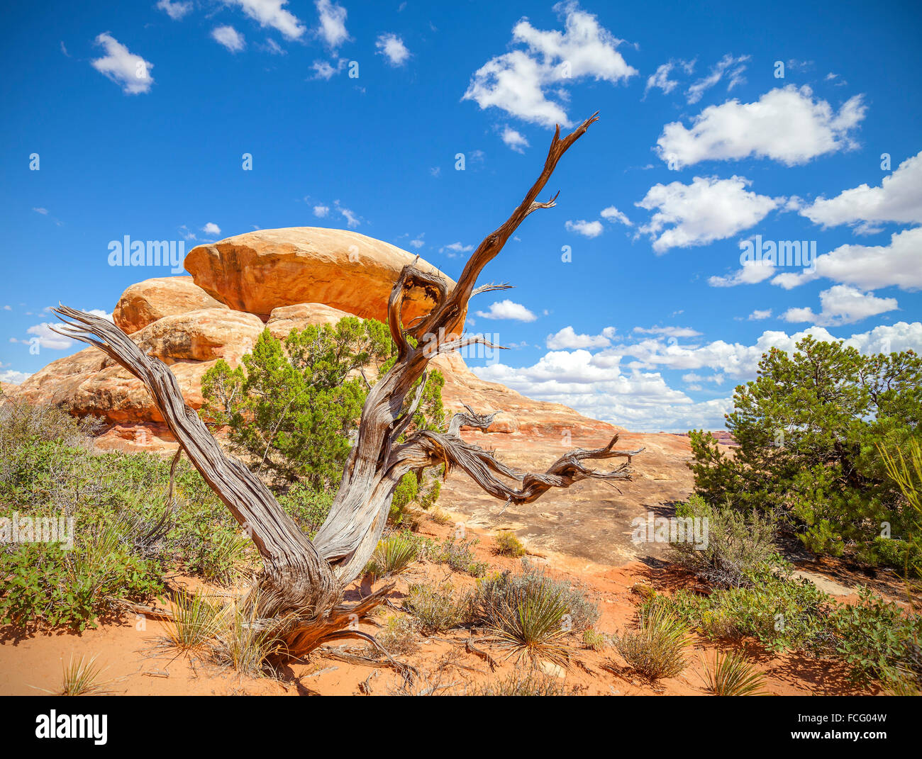 Paesaggio selvaggio nel Parco Nazionale di Canyonlands, Utah, Stati Uniti d'America. Foto Stock