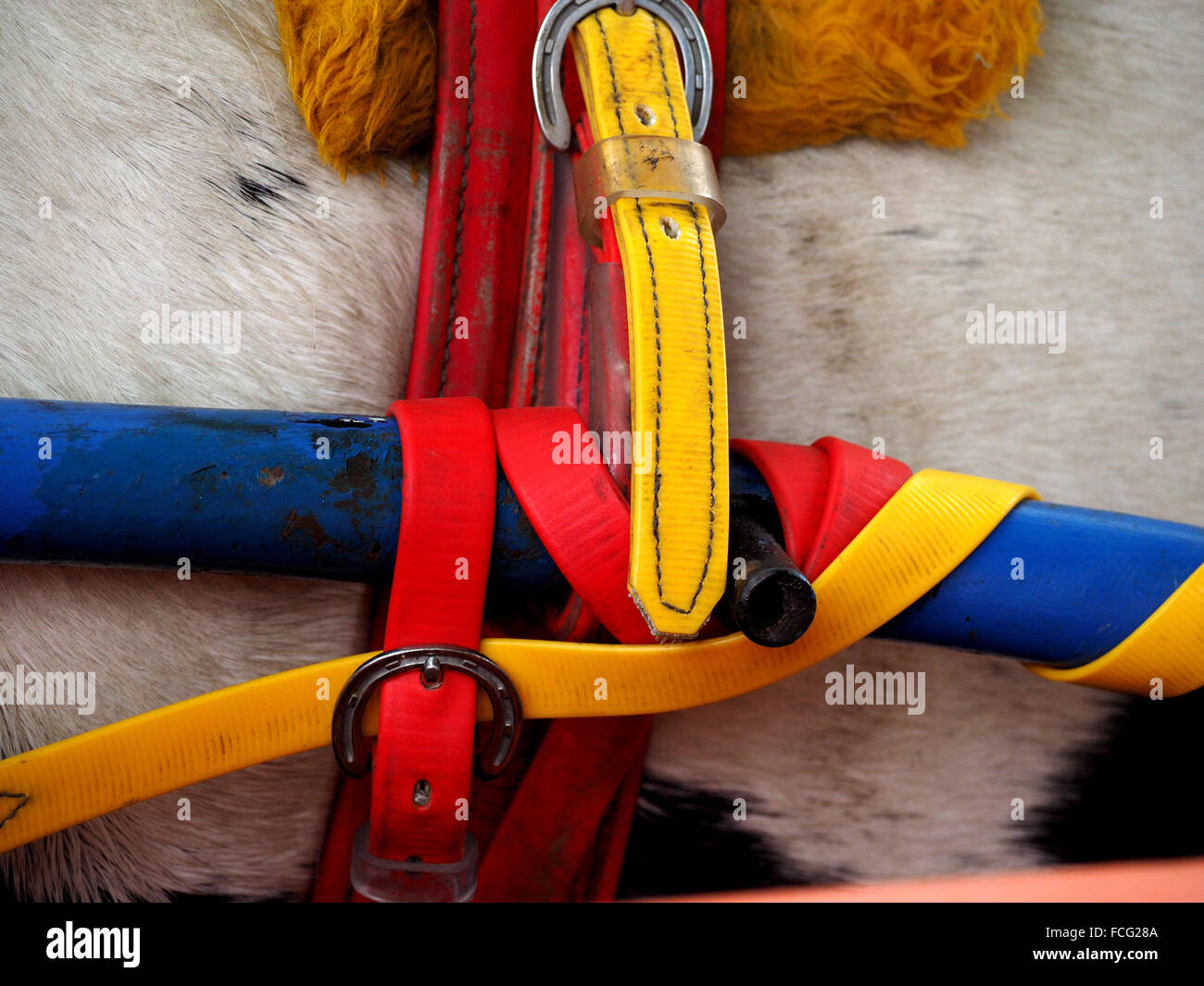 Dettaglio del cavallo e accessori in pelle presso il famoso viaggiatori annuale raduno a Appleby Horse Fair, Cumbria Inghilterra England Regno Unito Foto Stock