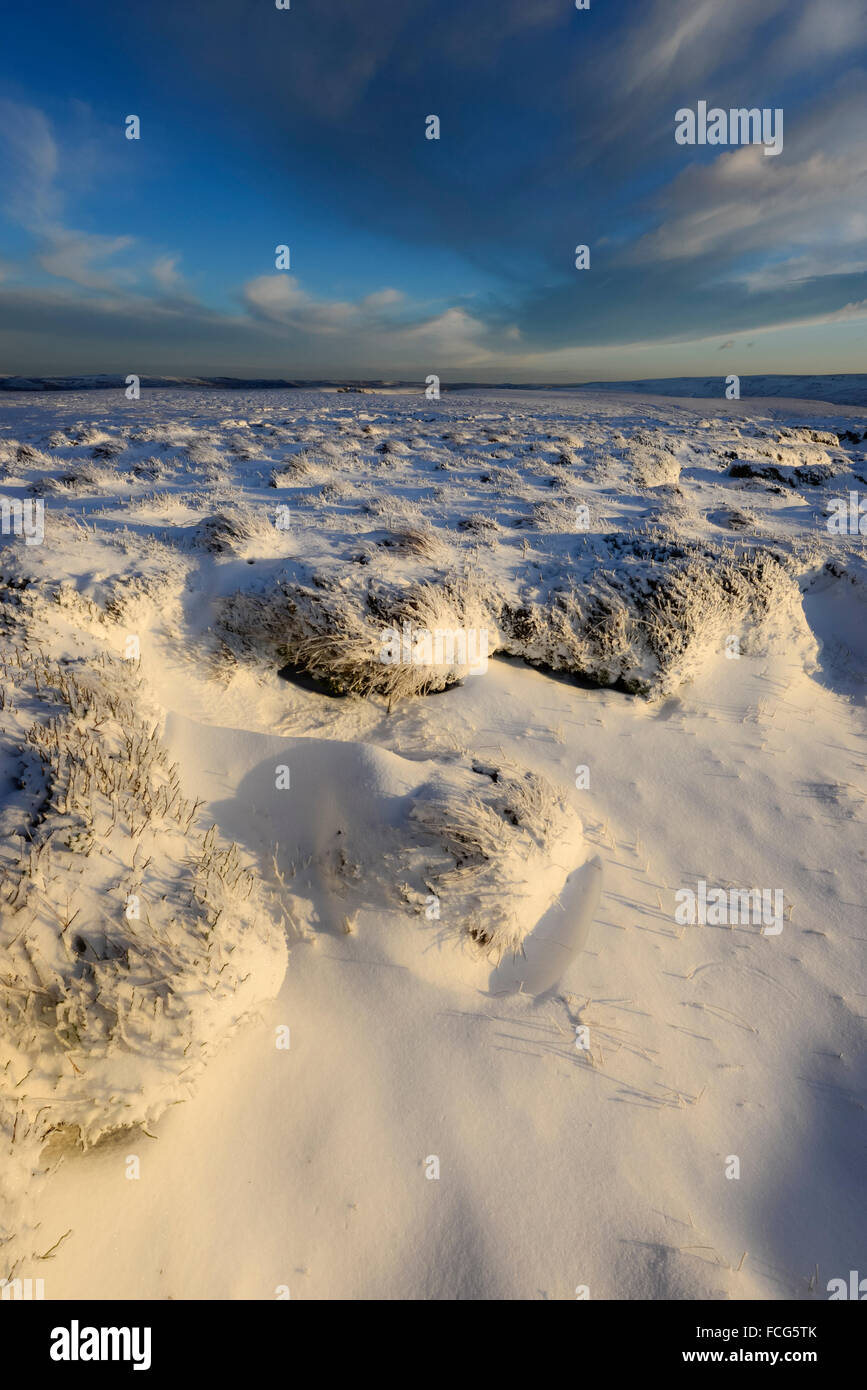 Snowy brughiera a fianco del The Pennine Way sopra Glossop nel Derbyshire su una splendida serata invernale al tramonto. Foto Stock