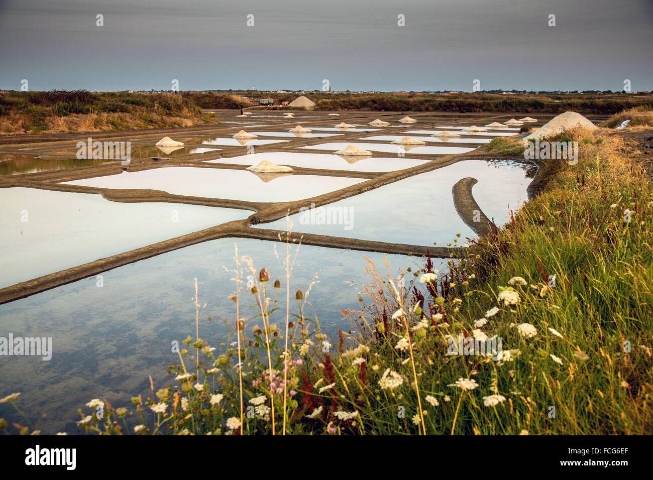 Le saline di GUERANDE, (44) Loire Atlantique, regione della Loira, Francia Foto Stock