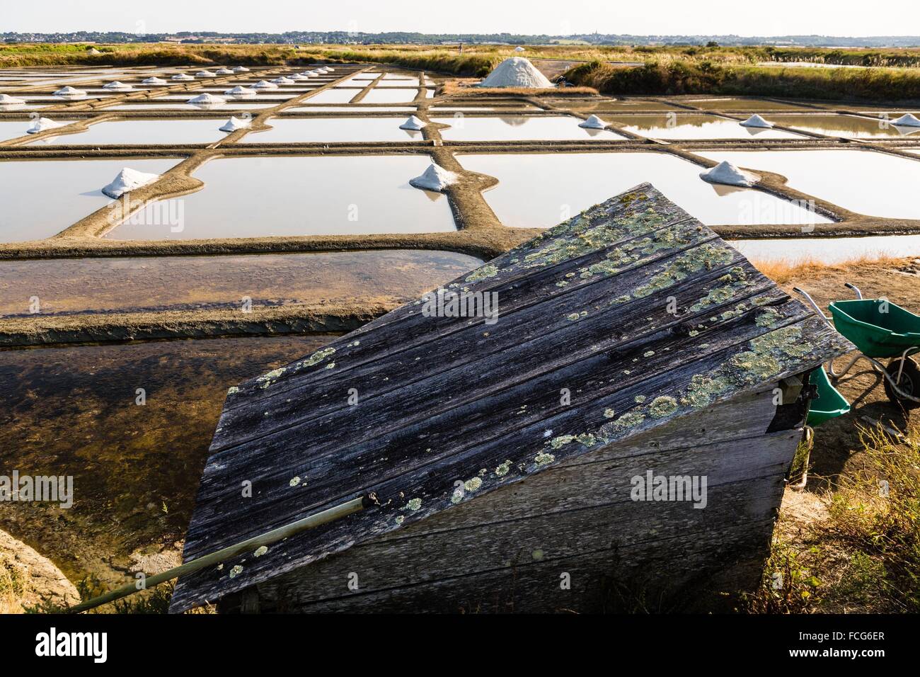 Le saline di GUERANDE, (44) Loire Atlantique, regione della Loira, Francia Foto Stock