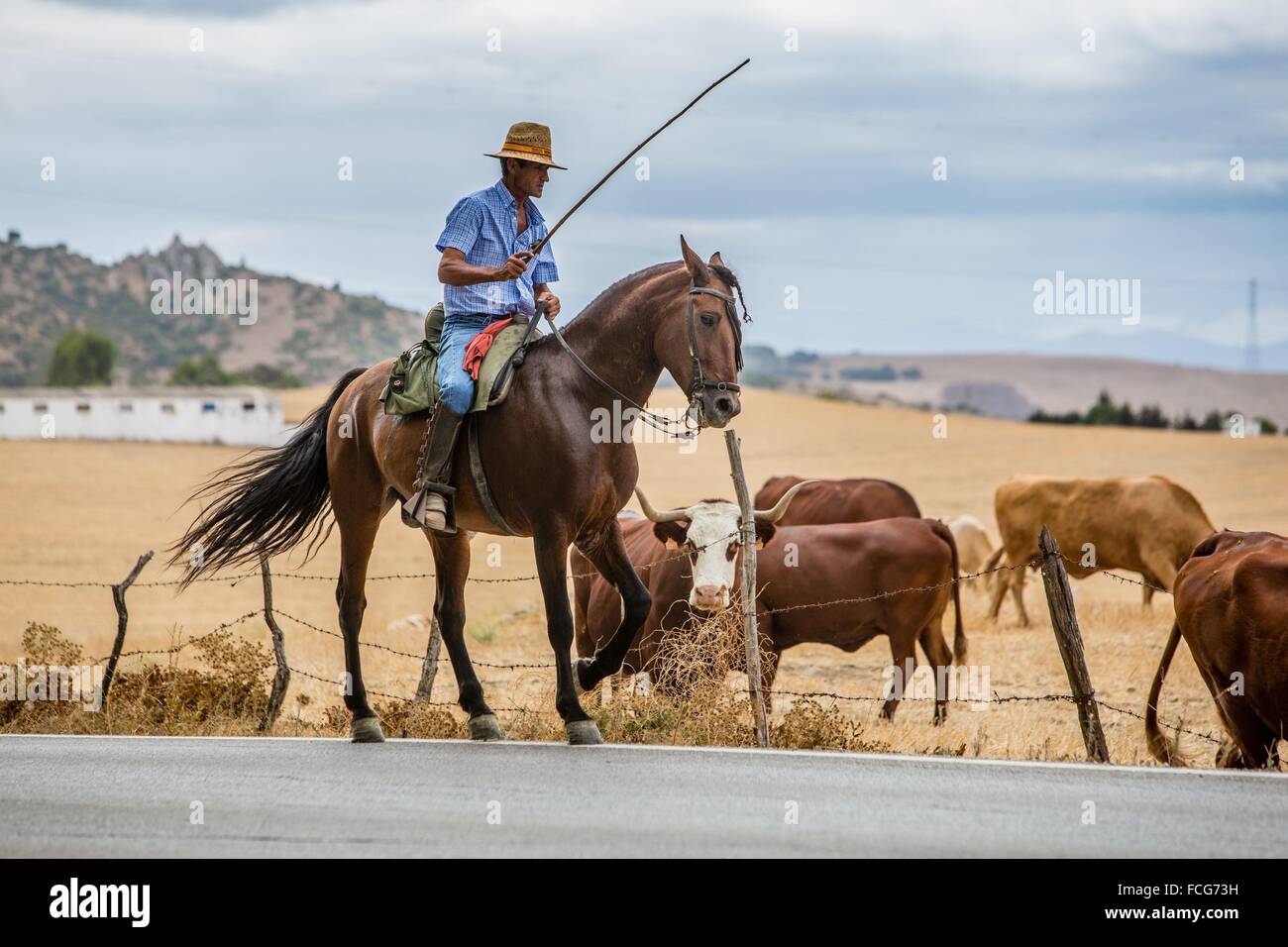 Illustrazione di Andalusia, Costa del Sol, Spagna meridionale, Europa Foto Stock