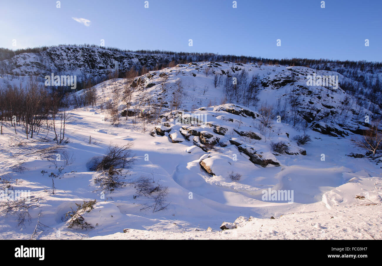 Paesaggio invernale in Norvegia settentrionale con un fiume congelato, betulla e montagne sotto un cielo blu con nuvole Foto Stock