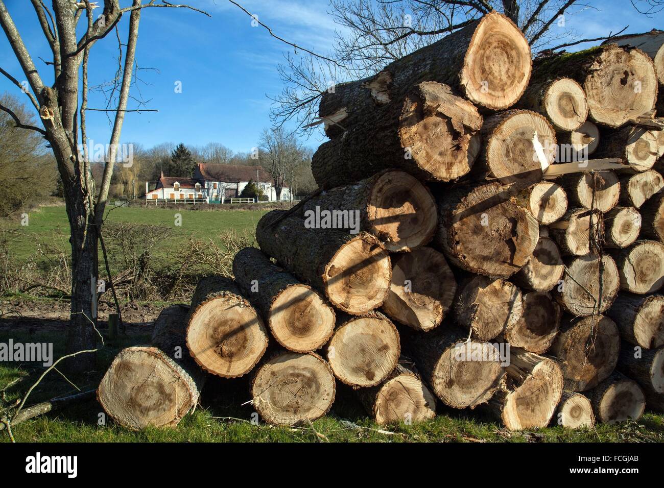 Provincia di Berry, George Sand's Black Valley Foto Stock