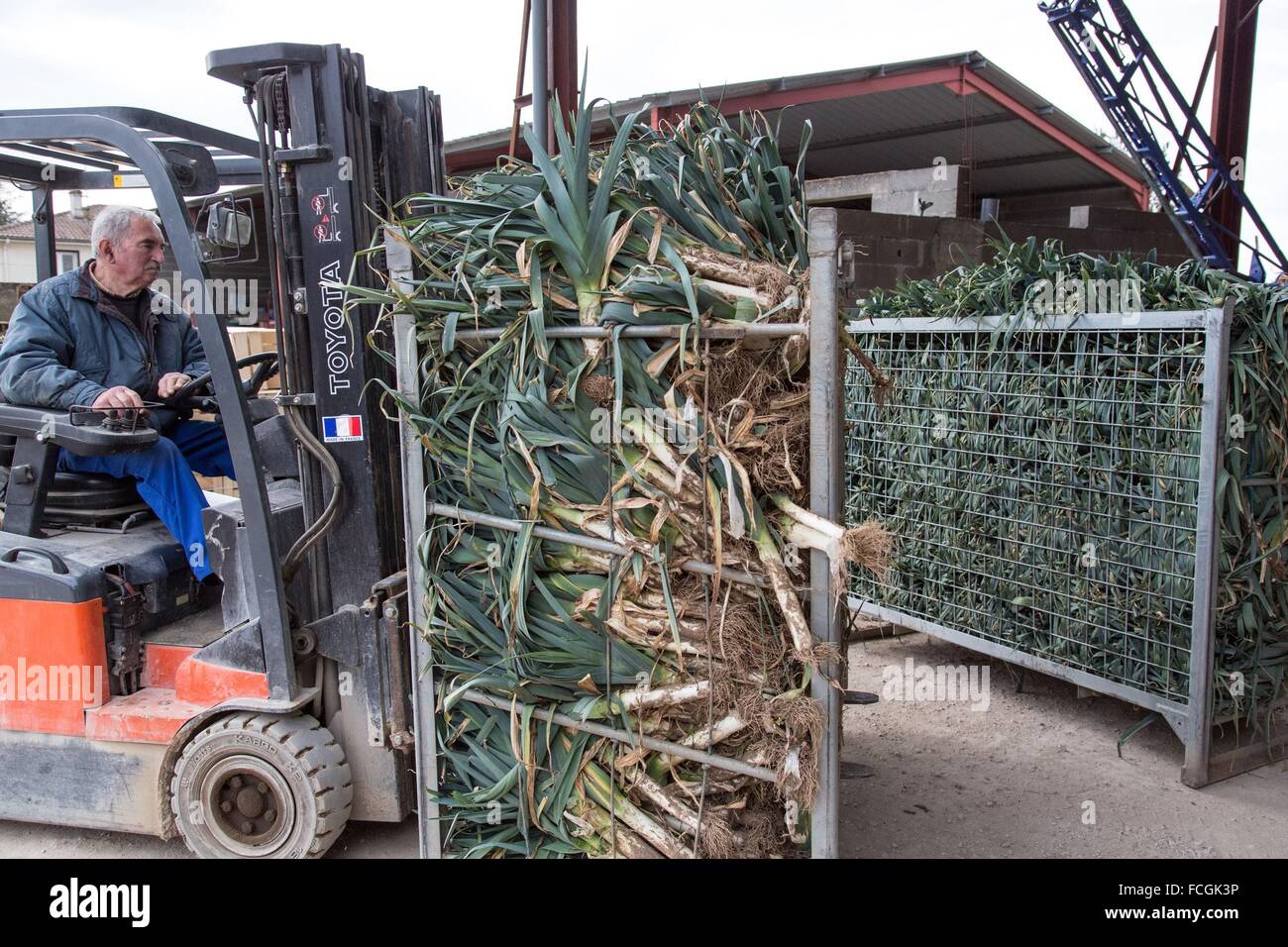 Porro fabbrica di confezionamento, Loir-et-Cher (41), Francia Foto Stock