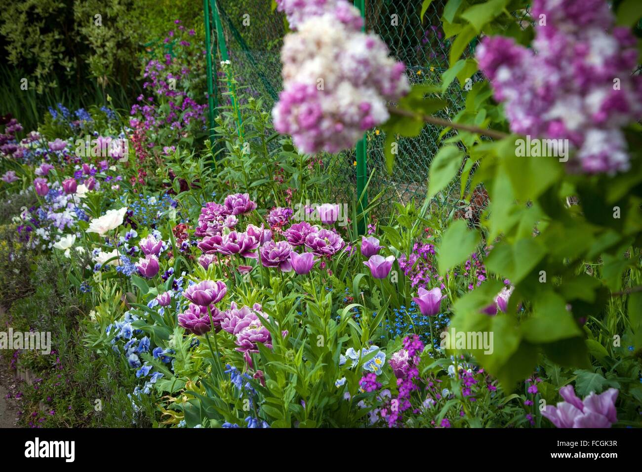 Il Claude Monet il giardino, Giverny, Normandia, Francia Foto Stock