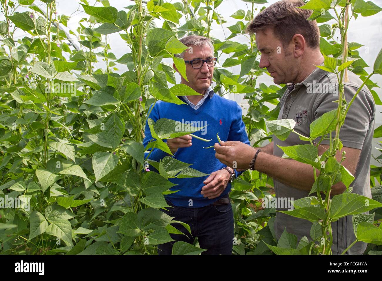 Prodotti della terra, vero cibo di qualità, Francia Foto Stock