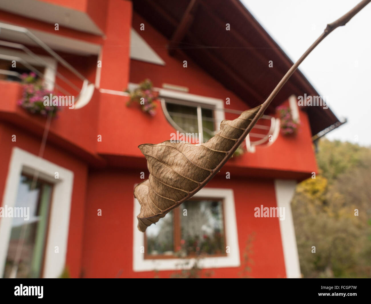 Casa Rossa nella regione Maramures della Romania, l'Europa. Foto Stock