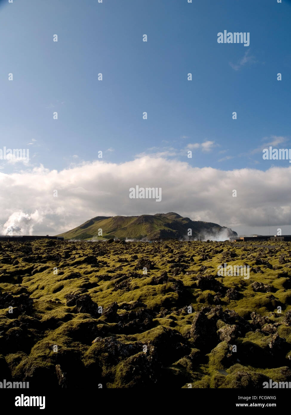 Il muschio verde su nero di roccia lavica nella parte anteriore di un vulcano in un ampio campo appena al di fuori della Laguna Blu Spa vicino a Keflavik, Islanda. Foto Stock